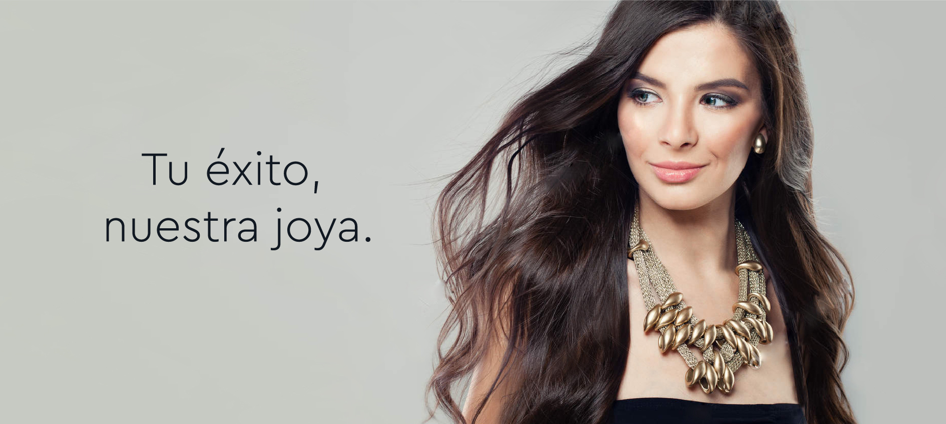 Banner Insignia Joyería